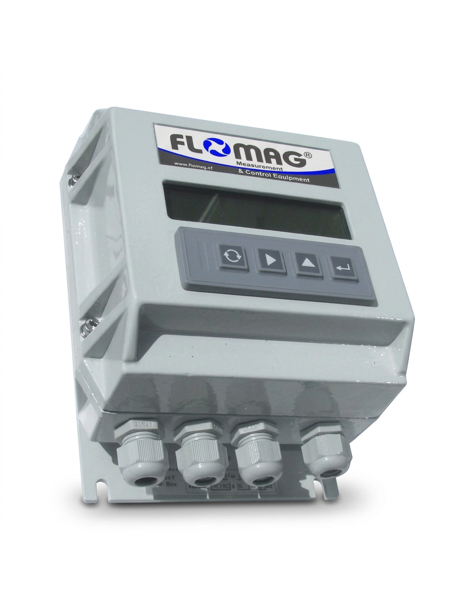 FLOMAG-ICM
